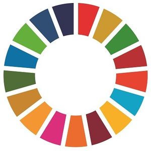 What the SDGs Mean to a Small FE College